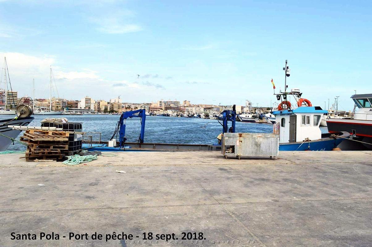11 SANTA POLA PORT DE PECHE (94).JPG